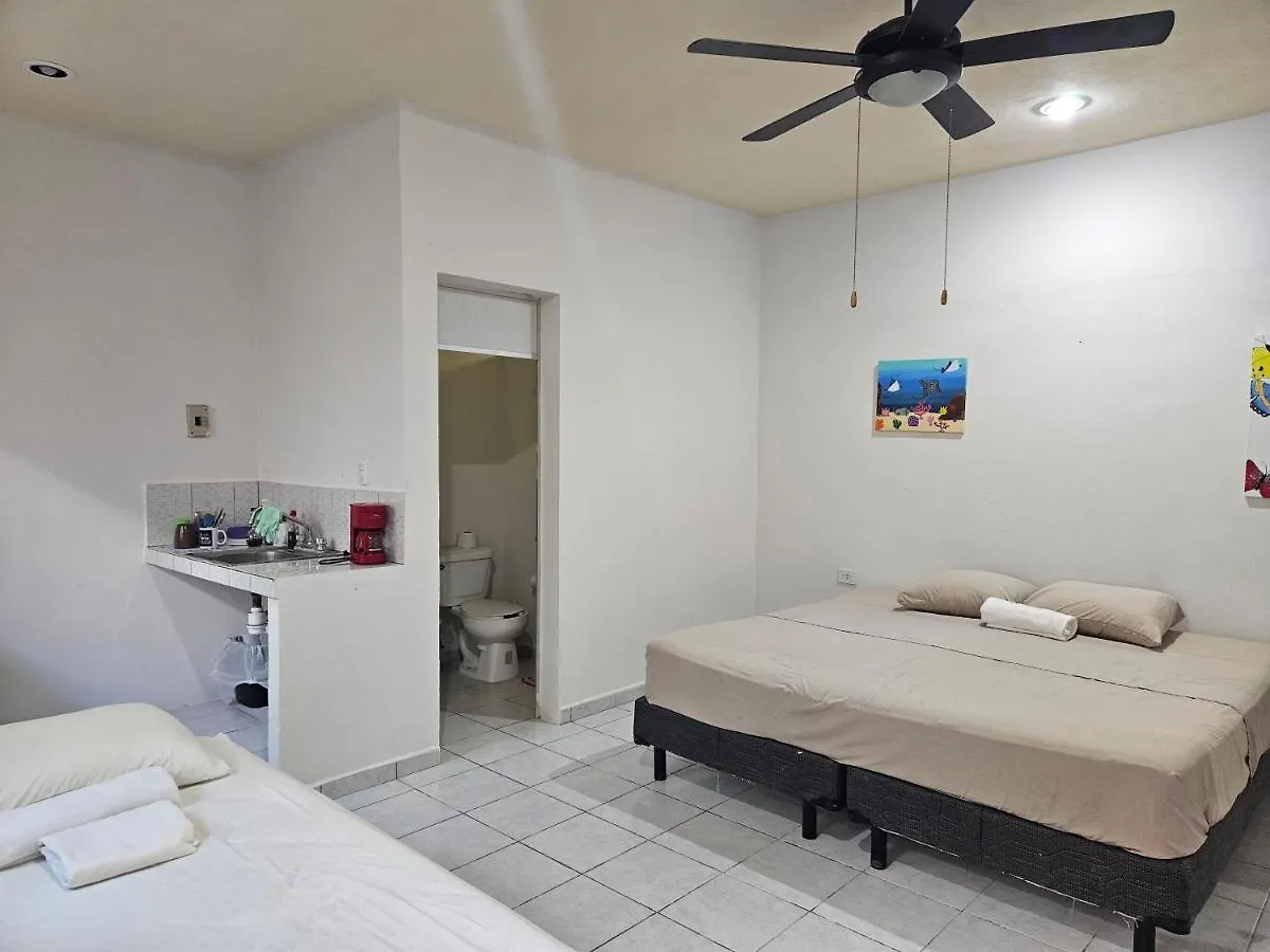 Hostel El Padrino Pansiyon Akumal Meksika