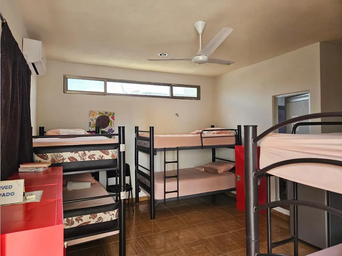 El Padrino Hostel Akumal