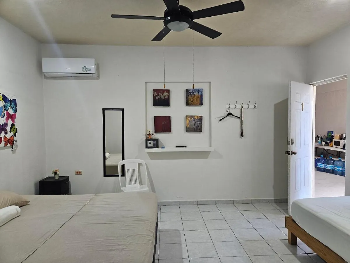 El Padrino Hostel Akumal Mexico